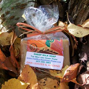Oak Leaves & Acorns Shea Butter Soap
